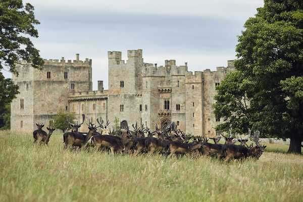 Mellor & Rose Modern Calligraphy Workshop Raby Castle Darlington County Durham Mellor & Rose Modern Calligraphy Workshop Raby Castle Darlington County Durham